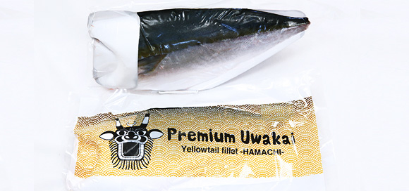 yellowtail